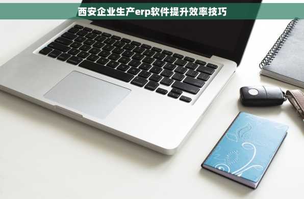 西安企业生产erp软件提升效率技巧