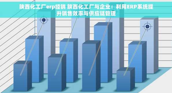 陕西化工厂erp经销 陕西化工厂与企业：利用ERP系统提升销售效率与供应链管理