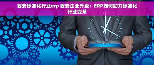 西安标准化行业erp 西安企业升级：ERP如何助力标准化行业变革