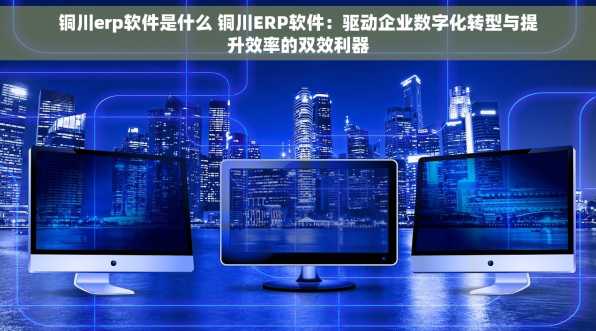 铜川erp软件是什么 铜川ERP软件：驱动企业数字化转型与提升效率的双效利器