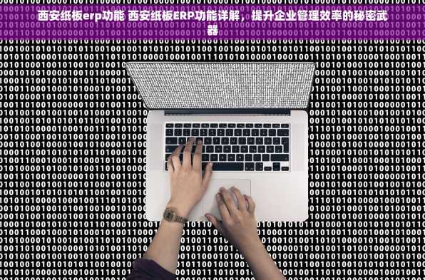 西安纸板erp功能 西安纸板ERP功能详解，提升企业管理效率的秘密武器
