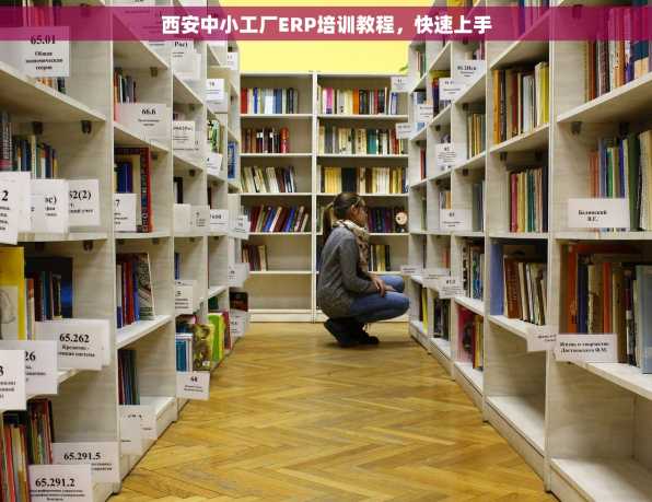 西安中小工厂ERP培训教程，快速上手