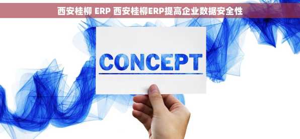 西安桂柳 ERP 西安桂柳ERP提高企业数据安全性