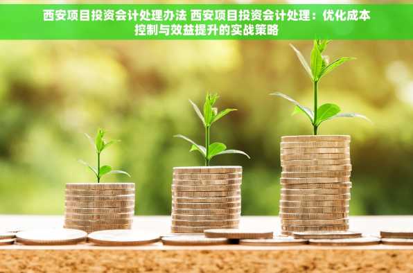 西安项目投资会计处理办法 西安项目投资会计处理：优化成本控制与效益提升的实战策略