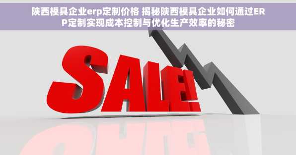 陕西模具企业erp定制价格 揭秘陕西模具企业如何通过ERP定制实现成本控制与优化生产效率的秘密
