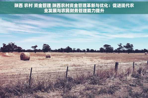 陕西 农村 资金管理 陕西农村资金管理革新与优化：促进现代农业发展与农民财务管理能力提升