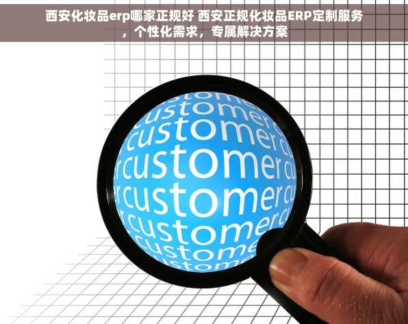 西安化妆品erp哪家正规好 西安正规化妆品ERP定制服务，个性化需求，专属解决方案