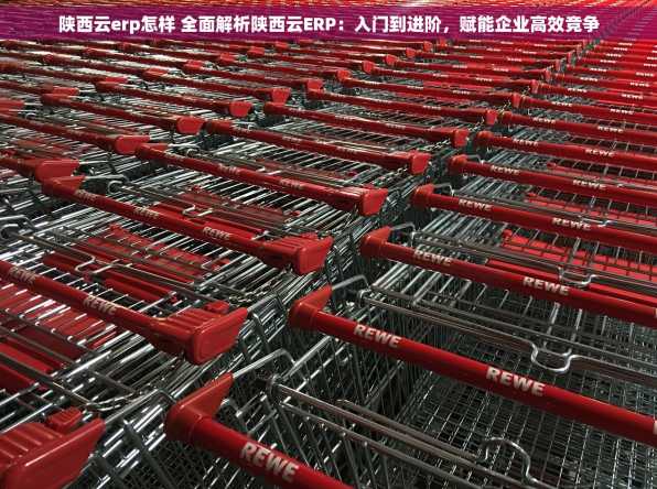 陕西云erp怎样 全面解析陕西云ERP：入门到进阶，赋能企业高效竞争