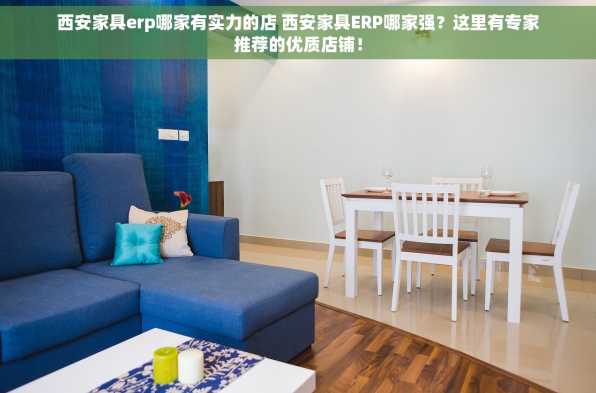 西安家具erp哪家有实力的店 西安家具ERP哪家强？这里有专家推荐的优质店铺！
