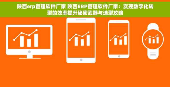 陕西erp管理软件厂家 陕西ERP管理软件厂家：实现数字化转型的效率提升秘密武器与选型攻略