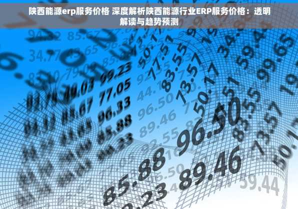 陕西能源erp服务价格 深度解析陕西能源行业ERP服务价格：透明解读与趋势预测