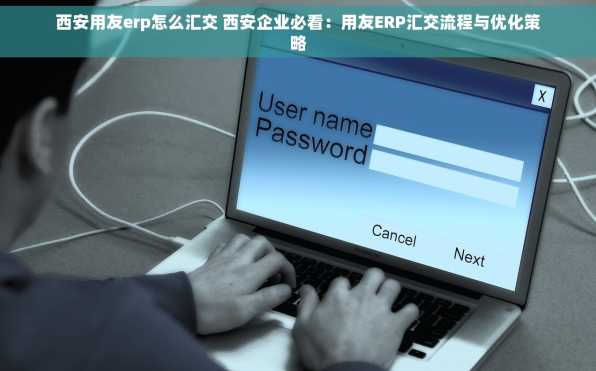 西安用友erp怎么汇交 西安企业必看：用友ERP汇交流程与优化策略