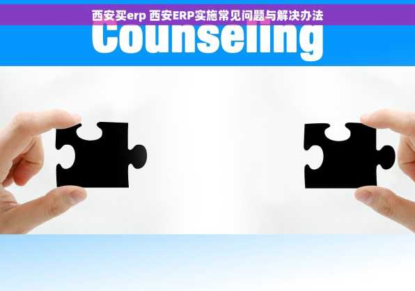 西安买erp 西安ERP实施常见问题与解决办法