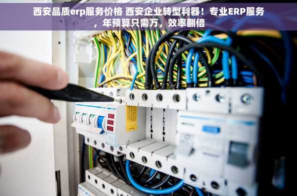 西安品质erp服务价格 西安企业转型利器！专业ERP服务，年预算只需万，效率翻倍
