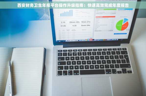 西安财务卫生年报平台操作升级指南：快速高效完成年度报告