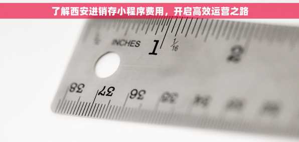 了解西安进销存小程序费用，开启高效运营之路