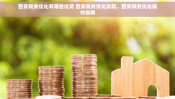 西安税务优化有哪些优势 西安税务优化流程，西安税务优化操作指南