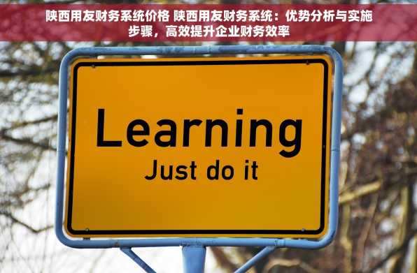 陕西用友财务系统价格 陕西用友财务系统：优势分析与实施步骤，高效提升企业财务效率