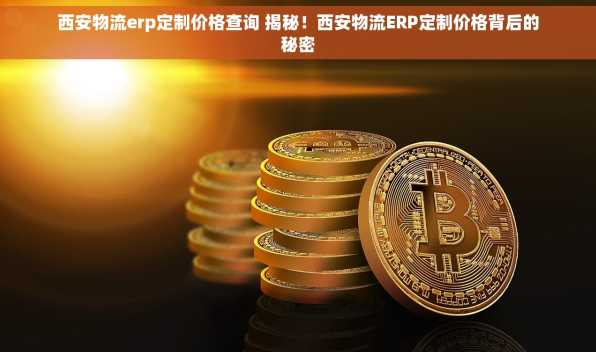 西安物流erp定制价格查询 揭秘！西安物流ERP定制价格背后的秘密