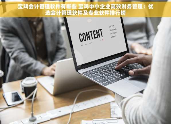宝鸡会计管理软件有哪些 宝鸡中小企业高效财务管理：优选会计管理软件及专业软件排行榜