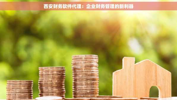西安财务软件代理：企业财务管理的新利器