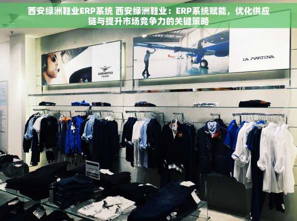 西安绿洲鞋业ERP系统 西安绿洲鞋业：ERP系统赋能，优化供应链与提升市场竞争力的关键策略