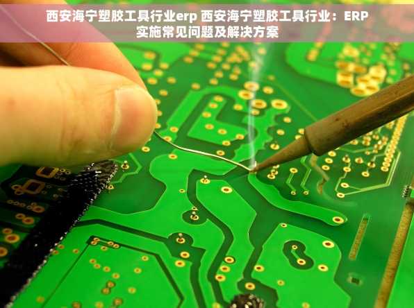 西安海宁塑胶工具行业erp 西安海宁塑胶工具行业：ERP实施常见问题及解决方案