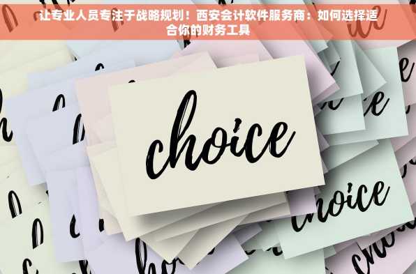 让专业人员专注于战略规划！西安会计软件服务商：如何选择适合你的财务工具