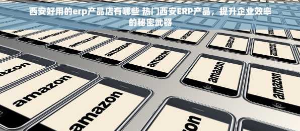 西安好用的erp产品店有哪些 热门西安ERP产品，提升企业效率的秘密武器