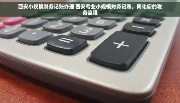 西安小规模财务记账办理 西安专业小规模财务记账，简化您的税务流程