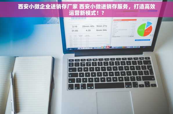 西安小微企业进销存厂家 西安小微进销存服务，打造高效运营新模式！?