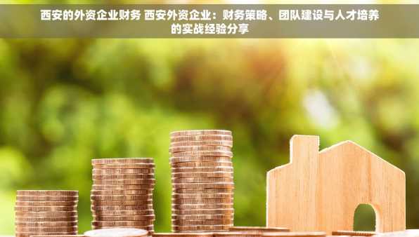 西安的外资企业财务 西安外资企业：财务策略、团队建设与人才培养的实战经验分享