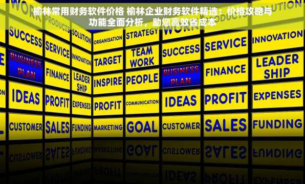 榆林常用财务软件价格 榆林企业财务软件精选：价格攻略与功能全面分析，助您高效省成本