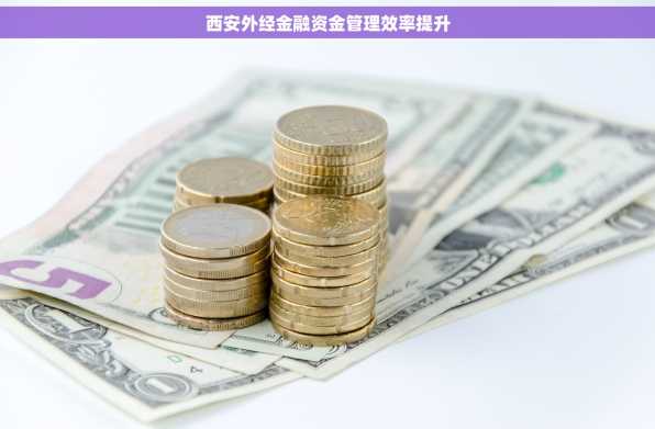 西安外经金融资金管理效率提升
