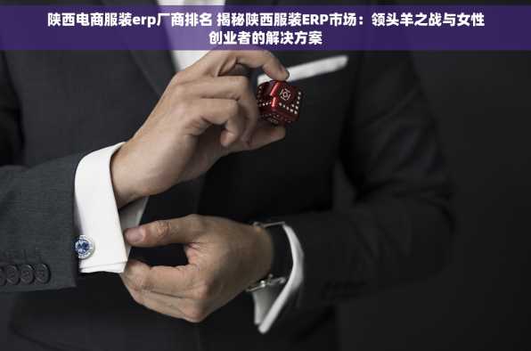 陕西电商服装erp厂商排名 揭秘陕西服装ERP市场：领头羊之战与女性创业者的解决方案
