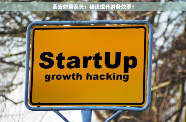 西安财务系长：秘诀提升财务效率！