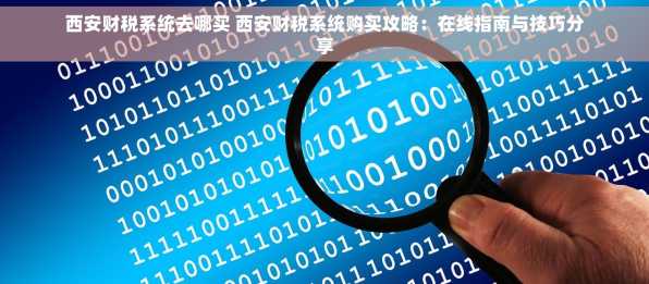 西安财税系统去哪买 西安财税系统购买攻略：在线指南与技巧分享