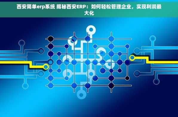 西安简单erp系统 揭秘西安ERP：如何轻松管理企业，实现利润最大化