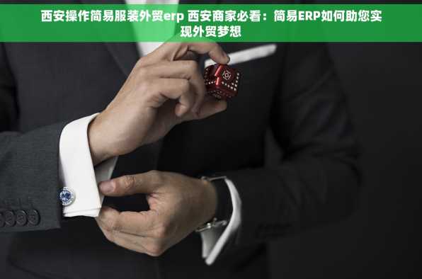 西安操作简易服装外贸erp 西安商家必看：简易ERP如何助您实现外贸梦想