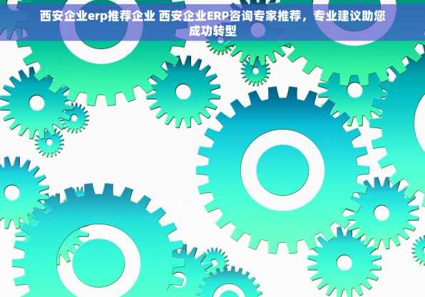 西安企业erp推荐企业 西安企业ERP咨询专家推荐，专业建议助您成功转型