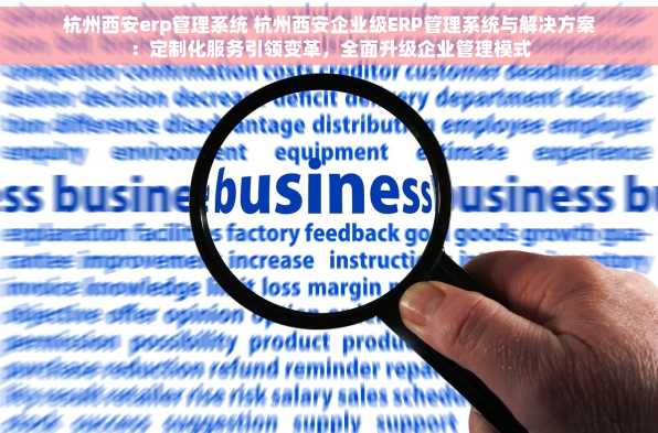 杭州西安erp管理系统 杭州西安企业级ERP管理系统与解决方案：定制化服务引领变革，全面升级企业管理模式