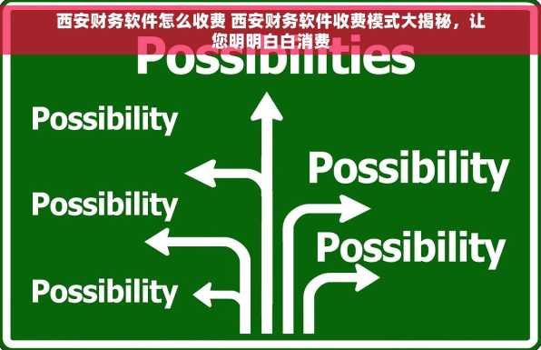 西安财务软件怎么收费 西安财务软件收费模式大揭秘，让您明明白白消费