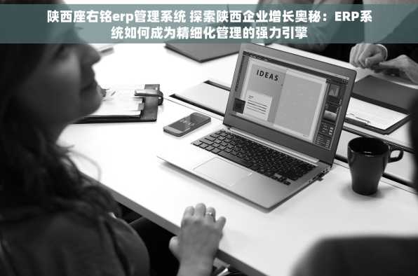 陕西座右铭erp管理系统 探索陕西企业增长奥秘：ERP系统如何成为精细化管理的强力引擎