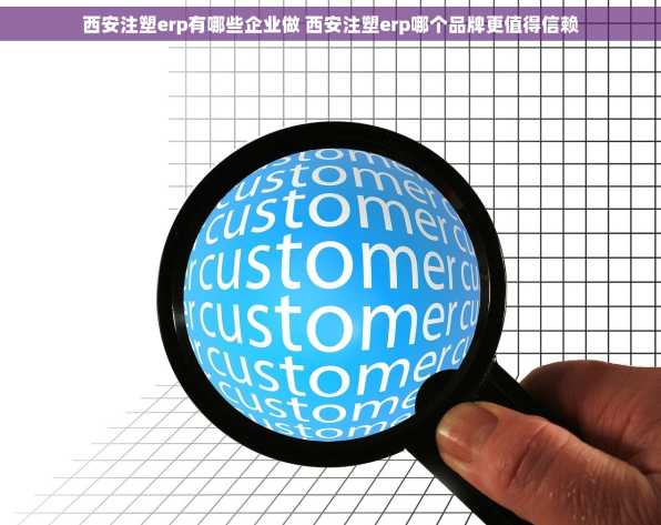 西安注塑erp有哪些企业做 西安注塑erp哪个品牌更值得信赖