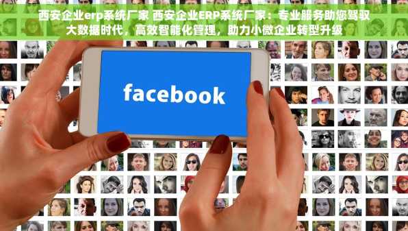 西安企业erp系统厂家 西安企业ERP系统厂家：专业服务助您驾驭大数据时代，高效智能化管理，助力小微企业转型升级
