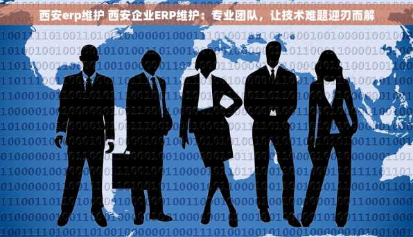 西安erp维护 西安企业ERP维护：专业团队，让技术难题迎刃而解