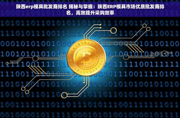 陕西erp模具批发商排名 揭秘与掌握：陕西ERP模具市场优质批发商排名，高效提升采购效率
