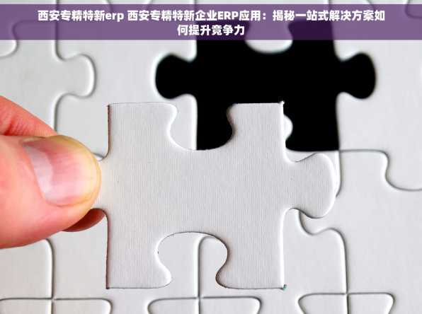 西安专精特新erp 西安专精特新企业ERP应用：揭秘一站式解决方案如何提升竞争力
