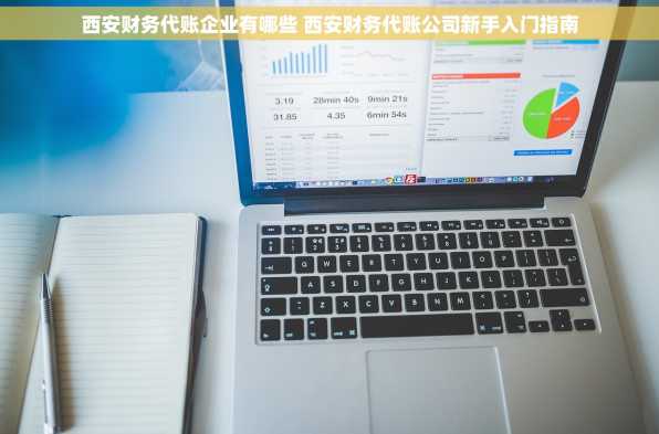 西安财务代账企业有哪些 西安财务代账公司新手入门指南
