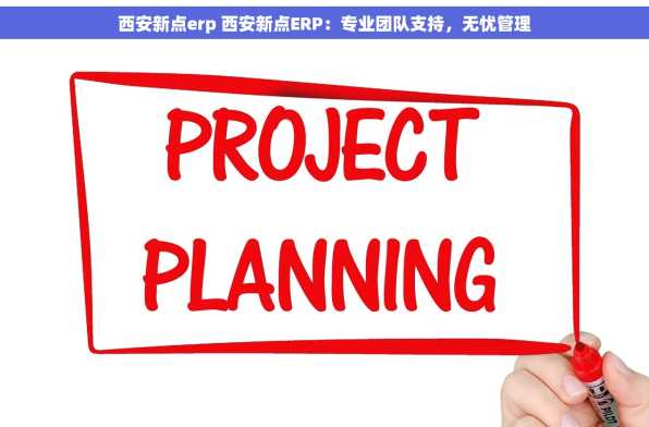 西安新点erp 西安新点ERP：专业团队支持，无忧管理